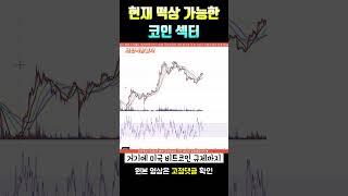 비트코인 현재 가장 떡상 할 코인 섹터는?