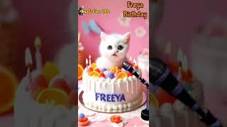 FREYA BIRTHDAY | HAPPY BIRTHDAY SONG WITH NAMES | Adorable Cute Cat   #happybirthday #cats