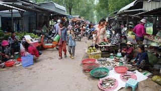 Cambodian Countryside Market Tours - Daily Lifestyle & Activities Of Vendors  Selling Food In Market