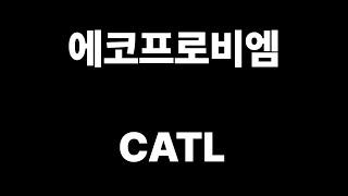에코프로비엠 CATL 어떤 계약을 하게 될까
