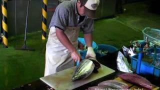 早い鰹のさばき方 how to clean a bonito quickly