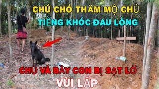 ĐAU LÒNG Chú Chó Đi Thăm Mộ Chủ Nhân Bị Sạt Lở Vùi Lấp Và TIẾNG KHÓC VANG TRỜI