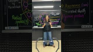  Remember the Structure of Cilia & Flagella? | Quick Bio Quiz by Amisha Ma’am | Medjeex NEET