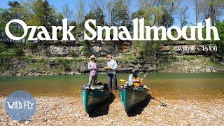 FEATHERS & STRINGS: An Overnight Arkansas Fly Fishing Adventure (w/ JD Clayton)