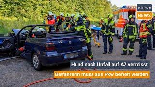 FULDA: Schwerer Unfall auf der A7 - Beifahrerin muss befreit werden - Hund aus Auto entlaufen