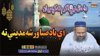 ای بادِ صبا ورشہ مدینہ تہ || Hafiz Bashir Jan Armani Saib || 2024 Best Naat