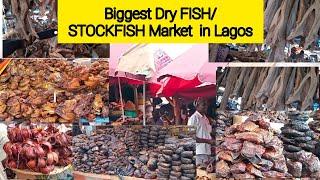 OTTO Market || cheapest & Biggest Dry Fish Market In Lagos, Raw Market Vlog | Current Price