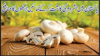 How to cultivate mushroom in homes || Complete guide in Urdu & Hindi