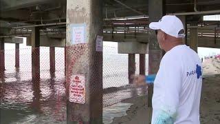 Work to repair Dania Beach Pier ongoing