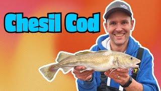 Chesil Beach Cod Fishing with The Shore Hunter