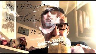 BoxOfDogs#24 STEVE HUGHES - Post Thailand Matrix Attack Pt 2 (Viewer Questions pt 1)