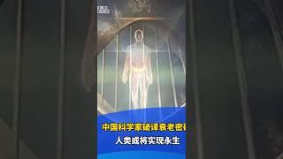 中国科学家破译衰老密码#科技#中国科技