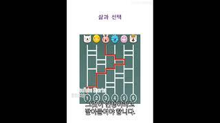 인생과 선택