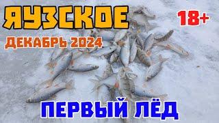 Зимняя рыбалка. Супер клёв. Первый лёд. Жерлицы и удочка. 30 декабря 2024 г.