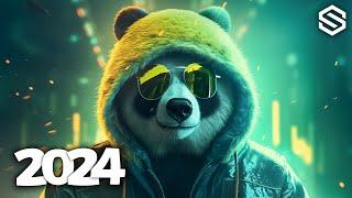 Music Mix 2024  EDM Remixes Of Popular Songs  Best EDM Music Mix #061