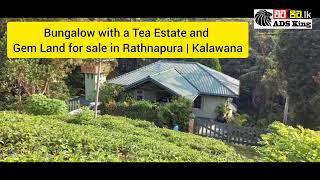 Bungalow with a Tea Estate and Gem Land for sale in Rathnapura | Kalawana Sri lanka