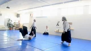 Aikido Jiyu Waza Part from Nidan Test 0716 Amit Eshel