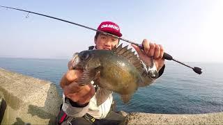 [쇼어지깅TV]light rock fishing 제주 볼락루어낚시 -넣으면 나와주는 볼락?!-