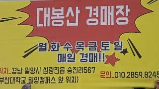 대봉산경매장 월요경매 옛고을 풍물 석물 경매 경품 팡팡 #경매 #실시간경매 #대봉산 #대봉산경매 #대봉산경매장