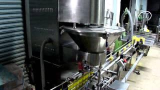 swanpack make auto servo auger powder filling machine