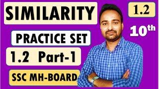 SSC Class 10  Geometry | Similarity | Practice Set 1.2 Part 1