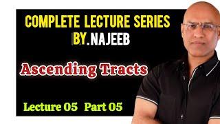 Ascending Tracts Lecture 5 Part 5 | Dr Najeeb Lecture | Complete Lecture Series
