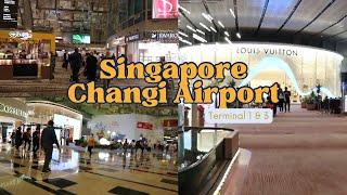 Singapore Changi Airport - Terminal 1 & 3 Walk with Mr.TravelElite