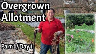 DAY ONE clearing an overgrown #allotment - The Community Plot.