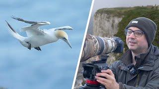 A Windy Day of Bird Photography on the Cliffs Pays Off! (Canon R6 & EF 500mm F/4 Lens)