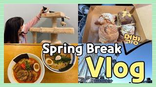 [Med Student Vlog] Mukbang Tour in VA, MD, DC l Food that makes you hungry at night l Spring Break