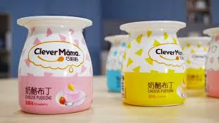 Classic Flavor Milk Pudding from Clever Mama | Shop TV