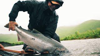 Kodiak Island Alaska - Bears, Fly Fishing, Beauty, Recharge, Chinook, Sockeye