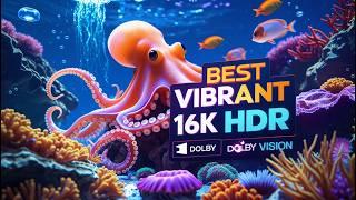 Best Vibrant 16K Video ULTRA HD - Stunning 16K HDR Dolby Vision Demo