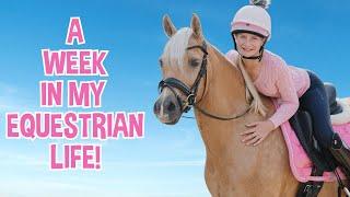 A WEEK IN MY EQUESTRIAN LIFE!