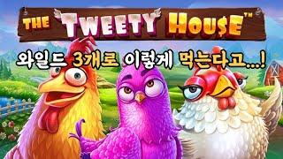 "슬롯머신" 프라그마틱 [트위티하우스] 닭집슬롯  The Tweety House Slots