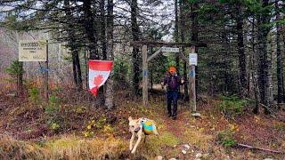 Hiking the Dobson Trail  |  New Brunswick