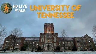 Virtual Walk - University of Tennessee in Knoxville, Tennessee