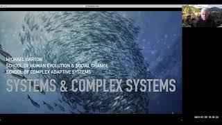 What are complex adaptive systems?