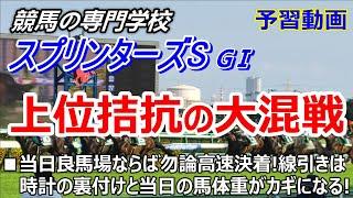 【スプリンターズS2024】予習動画 高速馬場に対応出来る２つの条件