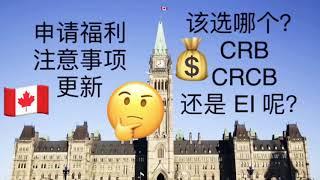 CERB 转到 CRB，CRCB，EI 申请更新事项及注意,加拿大紧急援助福利。国语