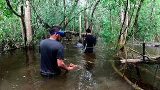 mucha lluvia y pesca complicada, pescando fuera del rio crecido