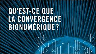 Qu'est-ce que la convergence bionumérique?