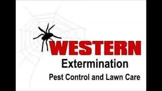 Exterminator Bringham City