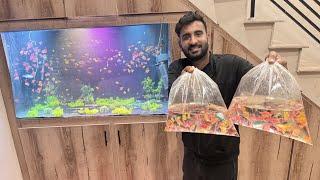 Ghr K Aquarium Ko Colour Fishes Se Bhr Diya