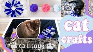 5 EASY DIYs to make for your Cat + Meet my New Kittens! DIY Cat Toys