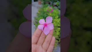 # nature is love