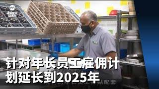 【财政预算案2023】两项针对年长员工雇佣计划延长到2025年