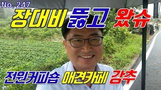 세종시 부동산 5생활권 다솜동 용호동 오송역 접근성 우수한 세종시 토지 연동면 응암리 계획관리지역 땅 저렴히 매매