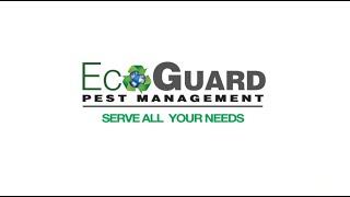 EcoGuard Pest Management  - Top Rated Local Pest Control