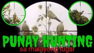 PESTCONTROL#4 PUNAI HUNT SULIT ANG PAGUD